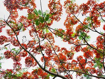 《使命召唤》外挂公司被判赔偿动视1400万美元 并上交其域名